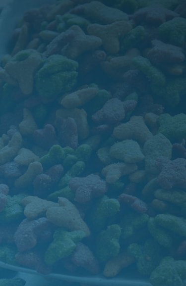 pet-food-manufacturing-waste