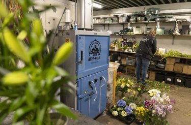 Blue baler in flower shop